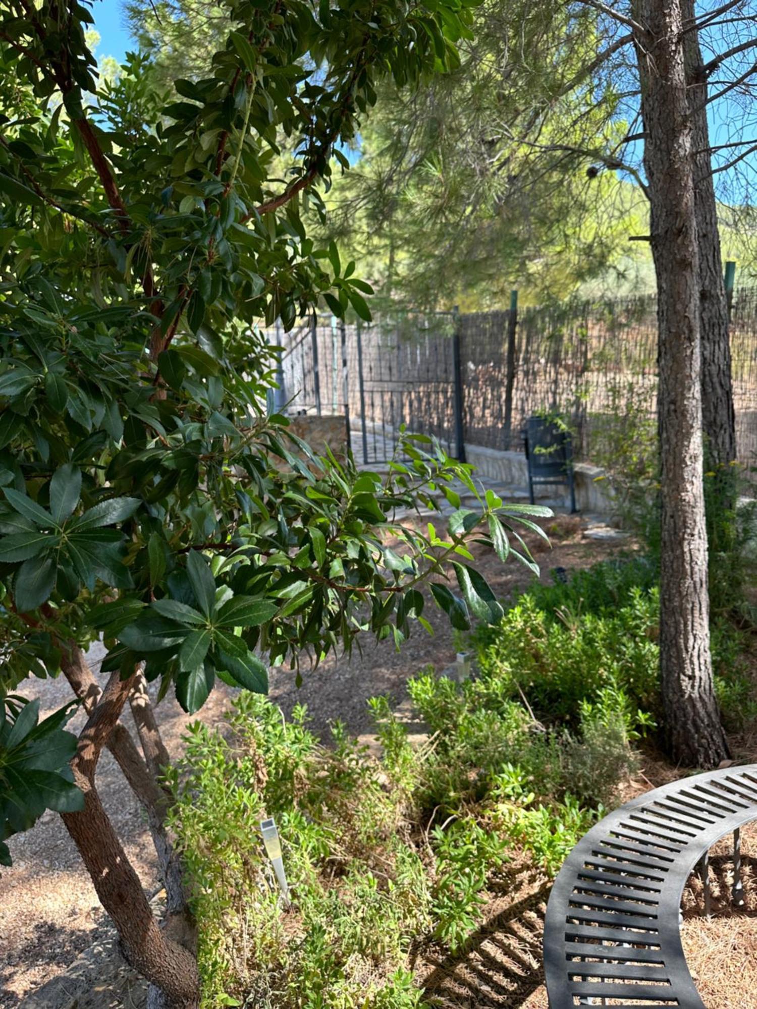 Casas Rurales Cerro Lobo Yeste Exterior foto